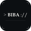 icon for Bibavpn