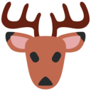 icon for Bodhi