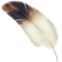 icon for Cqrlog
