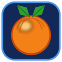 icon for crashott-pc