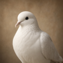 icon for dove