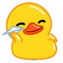icon for Duckcoding
