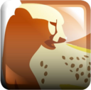 icon for Goldencheetah