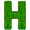 icon for Hatari