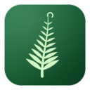 icon for Helecho