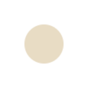 icon for ico-pc