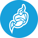 icon for Jitsi Meet