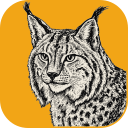 icon for Lightcraft