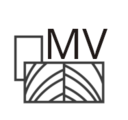 icon for meshtastic-visualizer