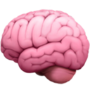 icon for Neuronest