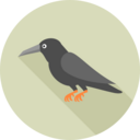 icon for Ortu