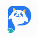 icon for P AI