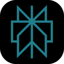 icon for Perplexity AI App