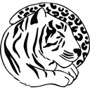 icon for Pext