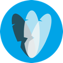 icon for Pingendo