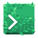 icon for Ptyxis