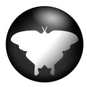 icon for Qmmp