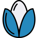 icon for Seed