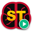 icon for Sillytavern Launcher