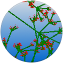 icon for Smallbasic