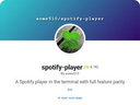icon for Spotify Player