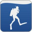 icon for Subsurface