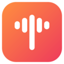 icon for talvio