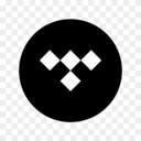 icon for Tidaluna Installer