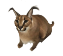 icon for Tomotexture Steamos