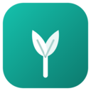 icon for Tree Monk