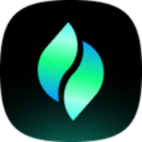 icon for Verdent Token Manager