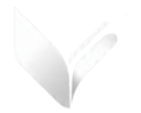 icon for Vessel Browser
